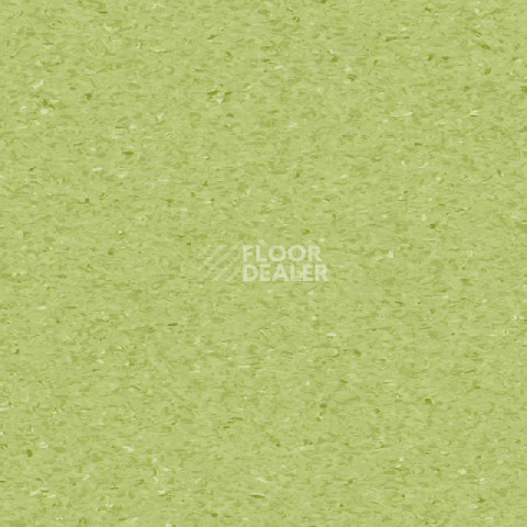 Линолеум Tarkett iQ Granit SOFT KIWI 0750 фото 1 | FLOORDEALER